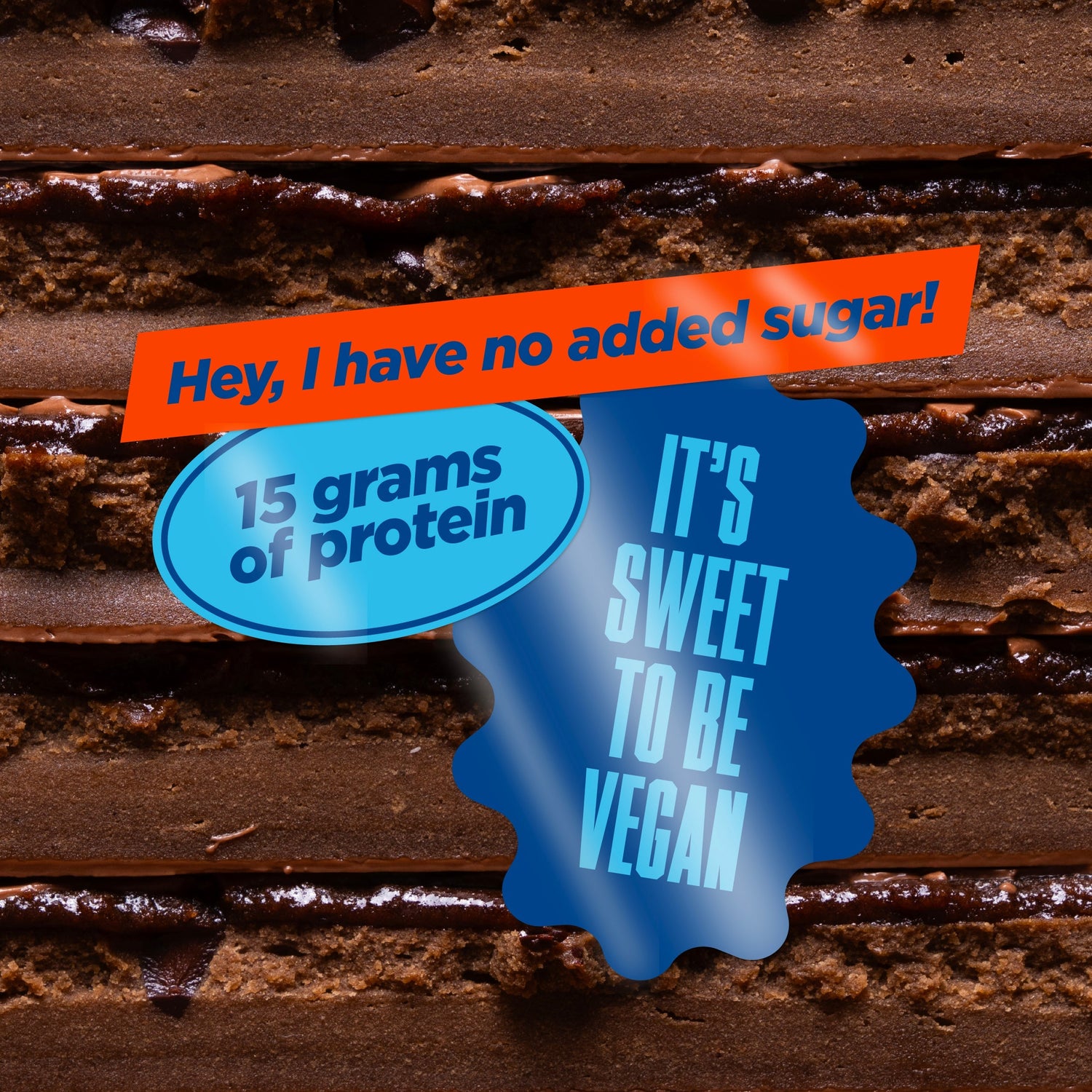 Vegan Protein Bars